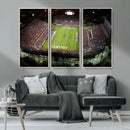 Florida Atlantic University Owls Football Team Print - Boca by MyGreatCanvas | Canvas Wall Art Prints | Photo Prints & Wall Decor