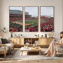 University of Illinois Fighting Illini Football Team Print -