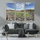 University of Charlotte 49ers Football Team Print - by MyGreatCanvas | Canvas Wall Art Prints | Photo Prints & Wall Decor