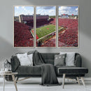 University of Nebraska Cornhuskers Football Team Print - by MyGreatCanvas | Canvas Wall Art Prints | Photo Prints & Wall Decor