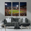 Clemson University Tigers Art Print, Football Team Print -