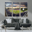 Duke University Blue Devils Football Team Print - Durham