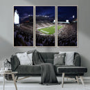 Michigan State Spartans Canvas, Framed Football Team Print - by MyGreatCanvas | Canvas Wall Art Prints | Photo Prints & Wall Decor