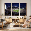 Michigan State Spartans Canvas, Framed Football Team Print -