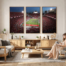Ohio State University Buckeyes Football Team Print -