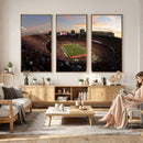 Ohio State University Buckeyes Football Team Print -