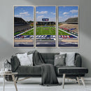 Rice University Owls Football Team Print - Houston Rice by MyGreatCanvas | Canvas Wall Art Prints | Photo Prints & Wall Decor