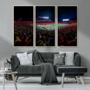 Rutgers Scarlet Knights Football Team Print - SHI Stadium,