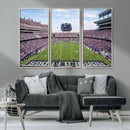 TCU Horned Frogs Football Team Print - Fort Worth Amon G.