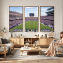 TCU Horned Frogs Football Team Print - Fort Worth Amon G.