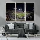 TCU Horned Frogs Football Team Print - Fort Worth Amon G.