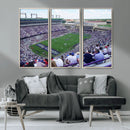 The Texas Christian University TCU Horned Frogs Football