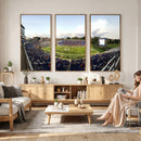 The Duke University Blue Devils Football Team Print - Durham
