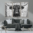 Abstract Longhorn Bull Wall Art Canvas Print - Rustic Texas