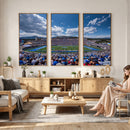 Air Force Falcons Football Team Print - Colorado Springs