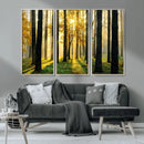 Sunlit Forest Wall Art Canvas Print – Large Framed Woodland