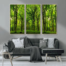 Lush Green Forest Canvas Print | 3-Panel Forest Wall Art |