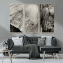 Elephant Wall Art Canvas Print