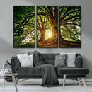 Majestic Ancient Tree Wall Art, NatureCanvas Print, Woodland by MyGreatCanvas | Canvas Wall Art Prints | Photo Prints & Wall Decor
