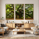 Angel Oak Tree Wall Art Canvas Print | Forest Tree Nature