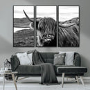 Longhorn Steer Canvas Print Wall Art, Highland Cow Canvas by MyGreatCanvas | Canvas Wall Art Prints | Photo Prints & Wall Decor