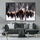 Bison Wall Art Canvas Print- Bison Herd Canvas Wall Art –