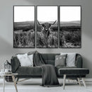 Black and White Highland Cow Canvas Wall Art, Longhorn by MyGreatCanvas | Canvas Wall Art Prints | Photo Prints & Wall Decor