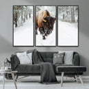 Bison Wall Art Canvas Print For Farmhouse, Animal Canvas