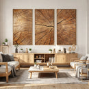 Tree Ring Canvas Art, Rustic Wood Grain Wall Art, Tree Slice