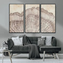 Tree Ring Wall Art Triptych, Rustic Wood Ring Canvas Print,