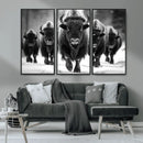American Bison Art | Buffalo Herd Wall Art Canvas Print, BW