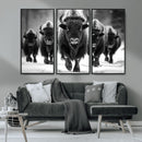 American Bison Art | Buffalo Herd Wall Art Canvas Print, BW