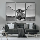Texas Longhorn Cow Wall Art, Texas Longhorn Canvas, Cattle