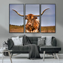Texas Longhorn Wall Art Print, Framed Longhorn Cow Wall Art
