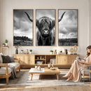 Scottish Cow Wall Art Canvas Print | Longhorn Wall Art |