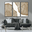 Rustic Brown Tree Ring Wall Art Canvas Print – Framed and