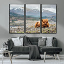 Highland Cow Horn Farm Wall Art Canvas Print