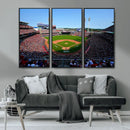 Cincinnati Reds Baseball Canvas Print - American Ball