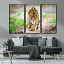 Leopard on the Prowl - Stunning Large Framed Leopard Wall