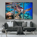 Underwater Coral Reef Sea Turtle Wall Art Canvas Print,