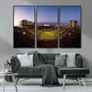 Iowa Hawkeyes Kinnick Stadium Wall Art Canvas Print, Framed