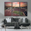 Indiana Memorial Stadium Wall Art Canvas Print, Framed