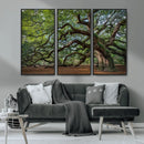 Historic Tree Wall Art – Framed Mossy Branch Canvas Artwork, by MyGreatCanvas | Canvas Wall Art Prints | Photo Prints & Wall Decor