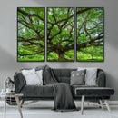 Ancient Tree Wall Art Canvas Print, Framed Sprawling by MyGreatCanvas | Canvas Wall Art Prints | Photo Prints & Wall Decor
