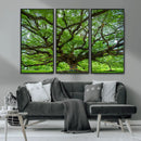 Oak Tree Wall Art Print, Forest Canvas Wall Art for Home and by MyGreatCanvas | Canvas Wall Art Prints | Photo Prints & Wall Decor