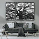 Ancient Oak Wall Art Canvas Print – Gnarled Tree Twisted by MyGreatCanvas | Canvas Wall Art Prints | Photo Prints & Wall Decor