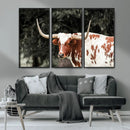Texas Longhorn Wall Art Canvas Print – Framed Spotted Bull