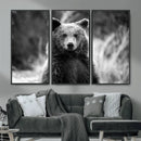 Grizzly Bear Wall Art Canvas Print – Framed Black White