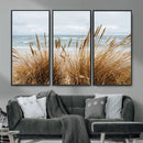 Beach Grass Wall Art – Framed Coastal Dunes Canvas Artwork, by MyGreatCanvas | Canvas Wall Art Prints | Photo Prints & Wall Decor