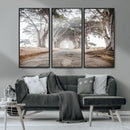 Cypress Tunnel Wall Art – Framed Misty Road Canvas Artwork, by MyGreatCanvas | Canvas Wall Art Prints | Photo Prints & Wall Decor